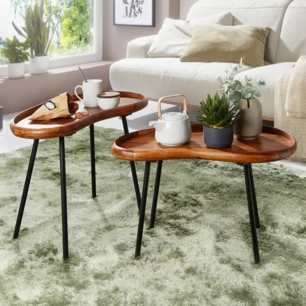 Finebuy Couchtisch Set FB52620 Sheesham Massiv Satztisch Nierenform mit Metallbeinen aus Holz, Braun