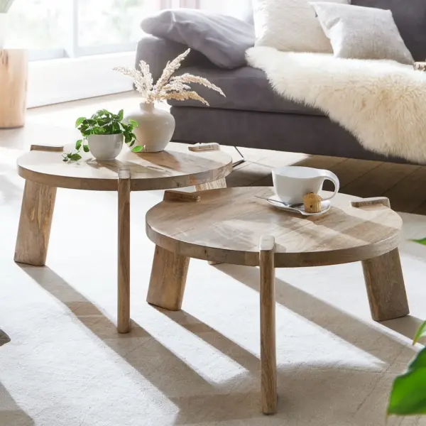 FineBuy Couchtisch Set 2er Mango Massivholz rund Natur, Beige
