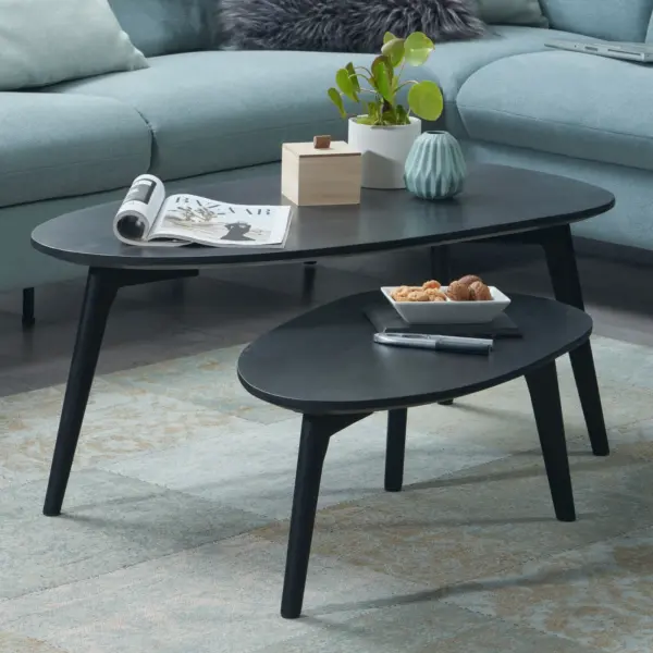 FineBuy Couchtisch Set 2er nierenförmig Mango Massivholz, Schwarz