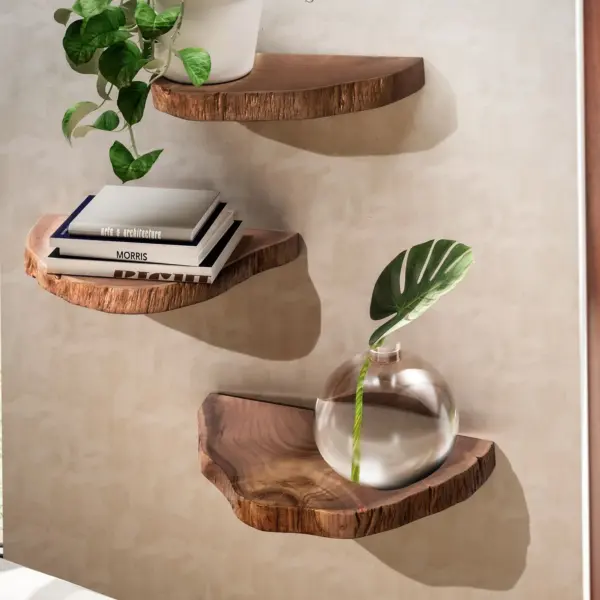 FineBuy Wandregal 3er Set Akazie Vollholz Hängeregal Baumscheibe, Braun
